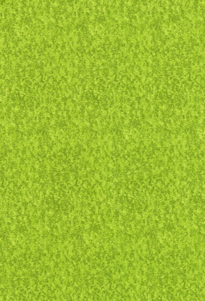 Grass Fresh Green